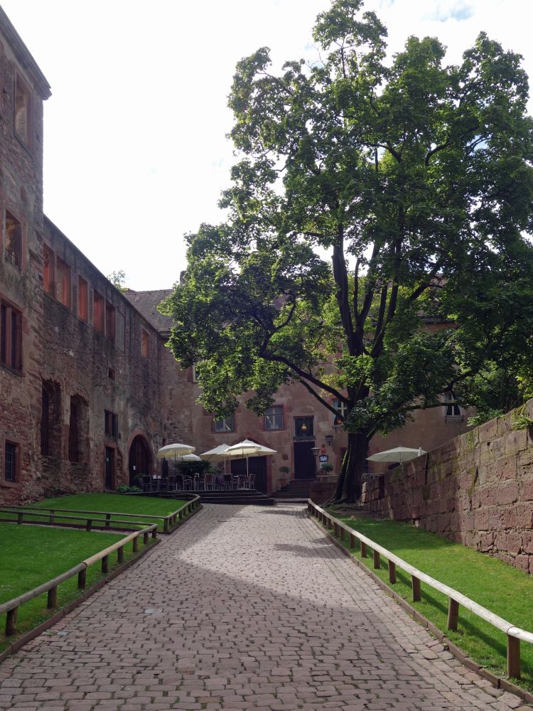 Schloss Heidelberg