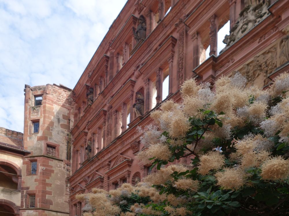 Schloss Heidelberg