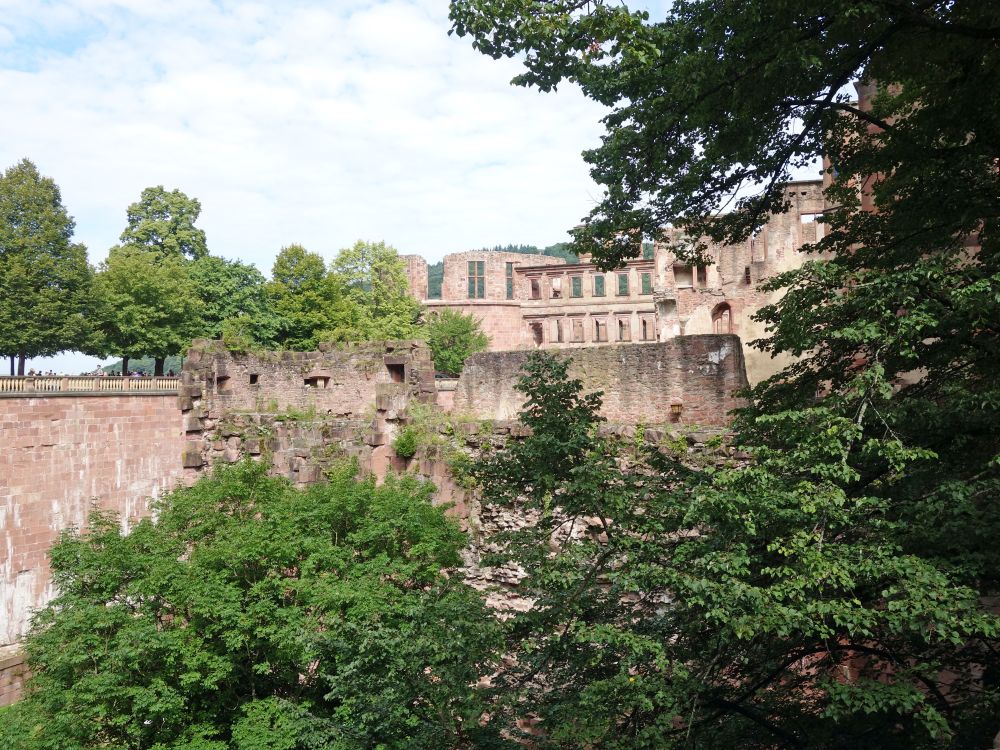 Schloss Heidelberg