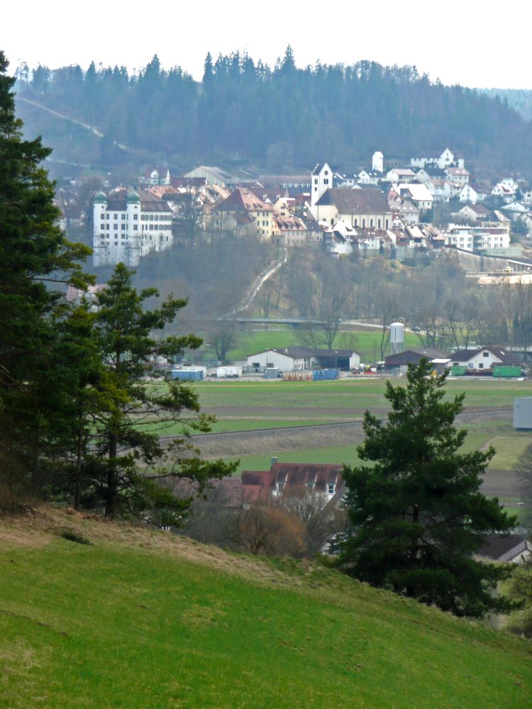 Mühlheim mit Schloss