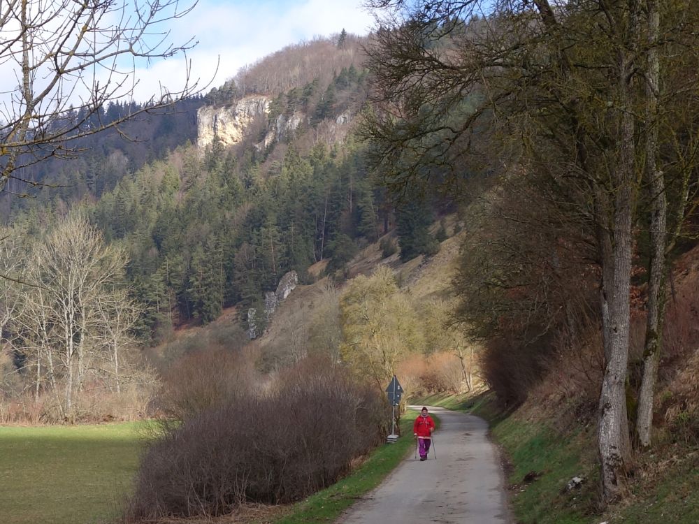 Blick zum Gelben Felsen