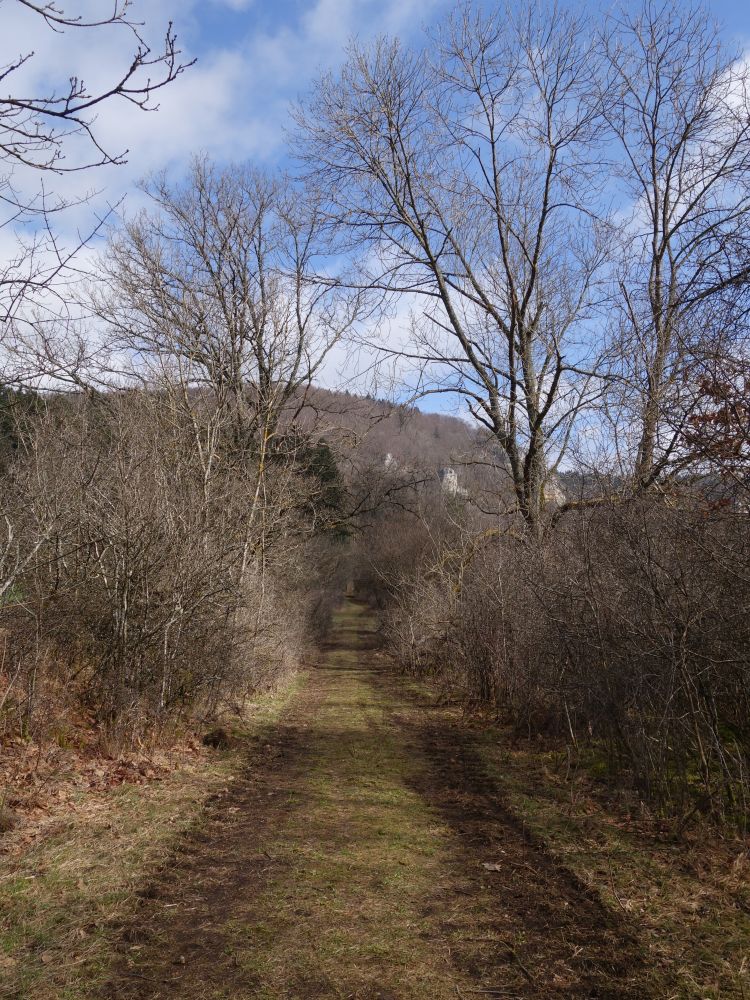 Weg zum Hintelestal