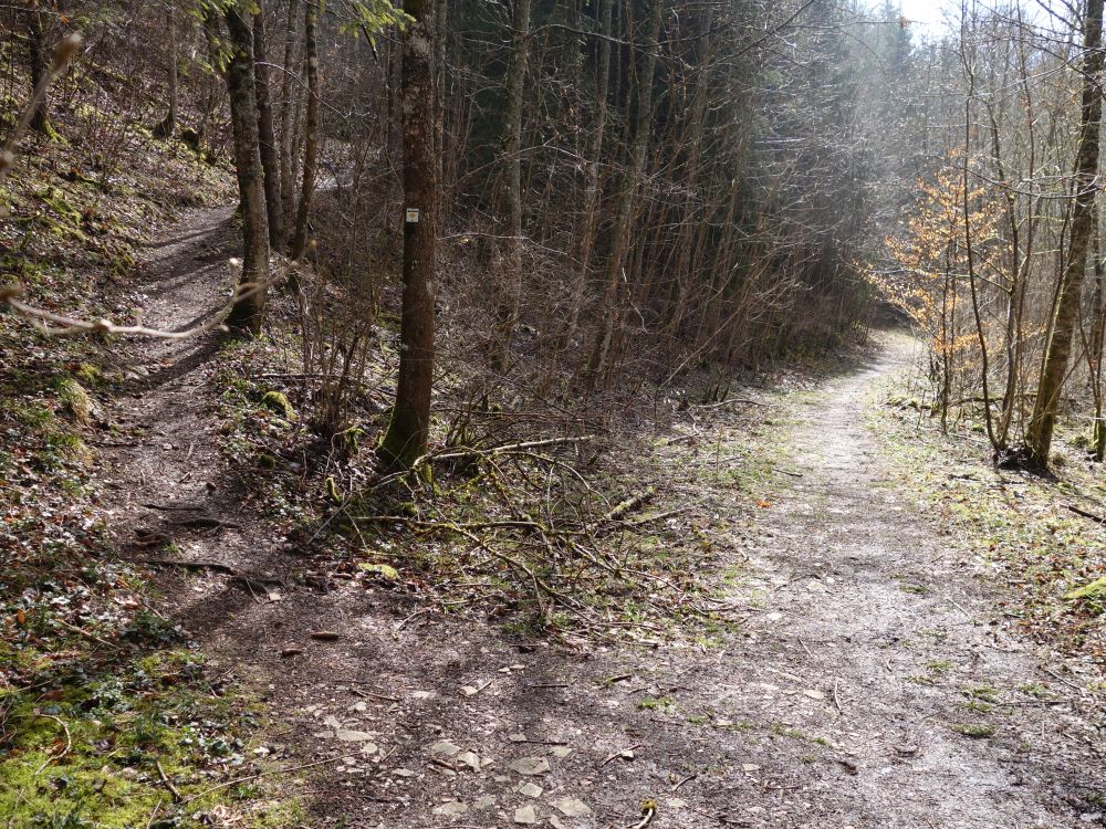 Abzweig Richtung Kolbinger Höhle