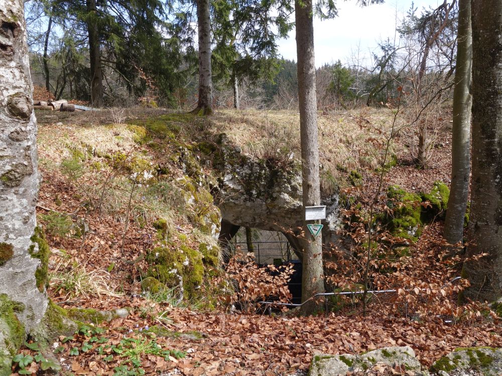 Eingangstor Kolbinger Höhle
