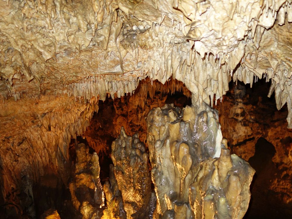Kolbinger Höhle