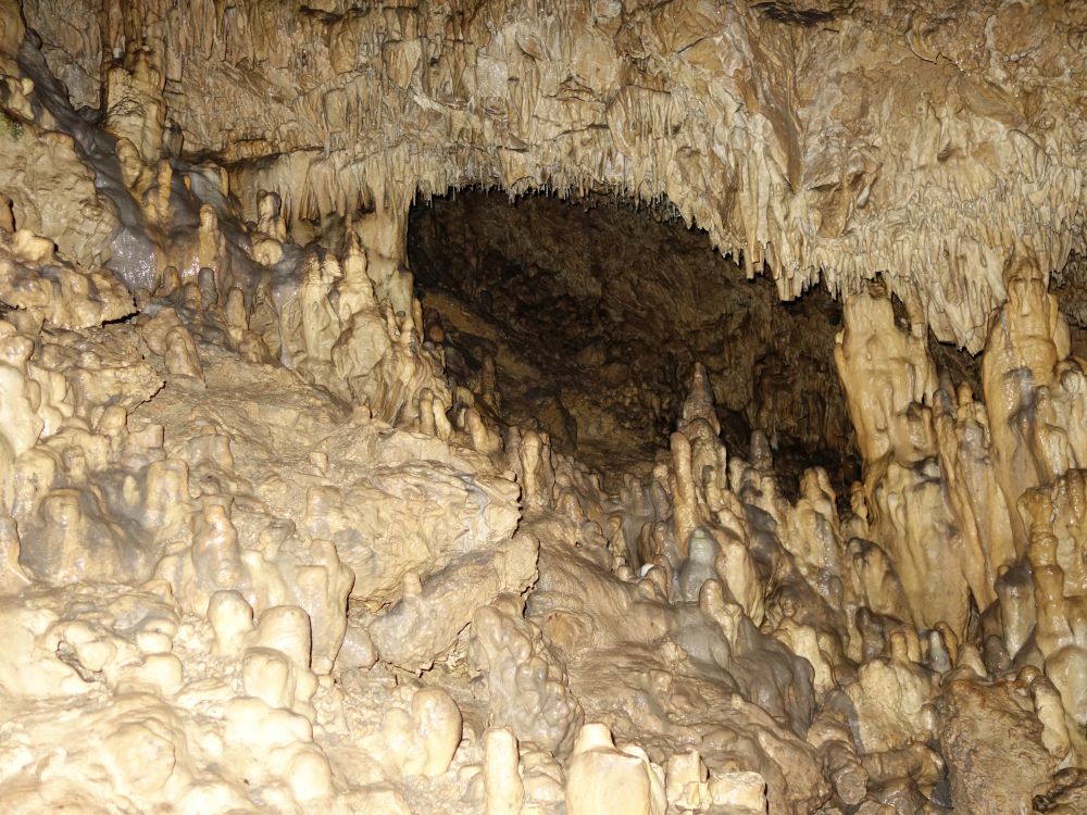 Kolbinger Höhle