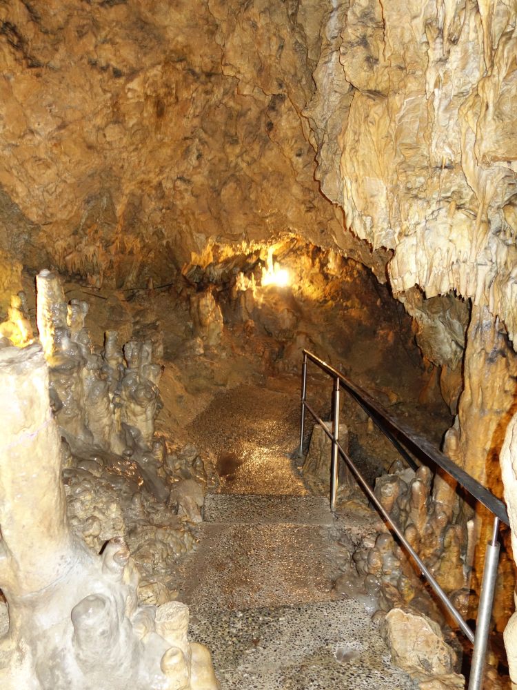 Kolbinger Höhle