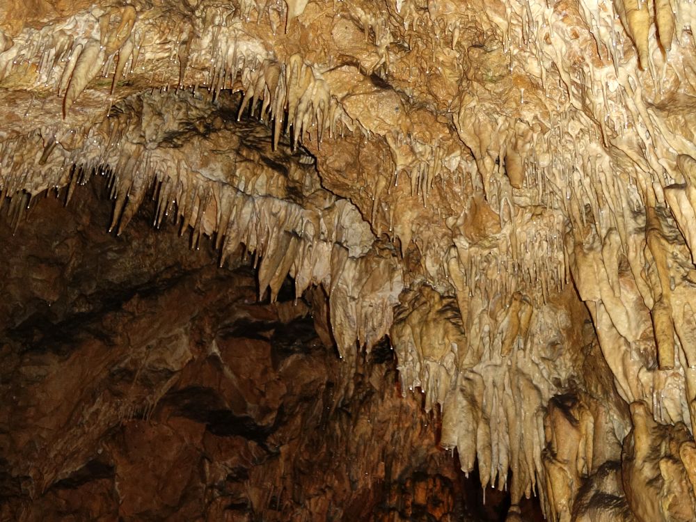Kolbinger Höhle