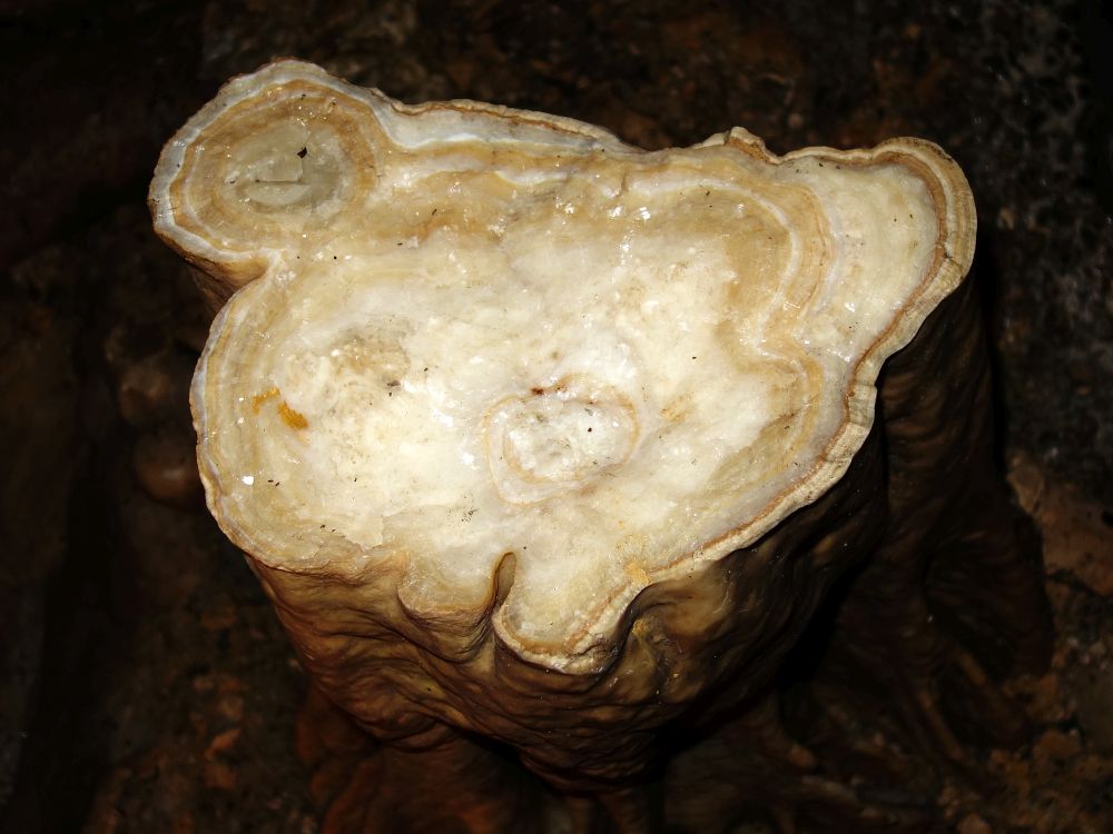 Kolbinger Höhle