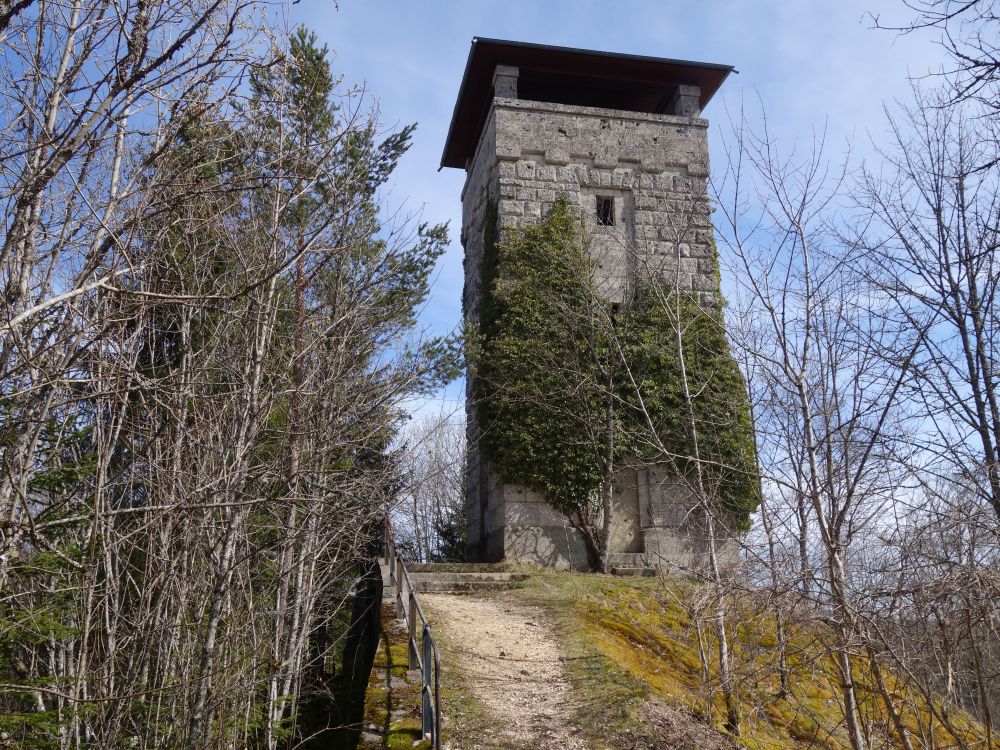 Wasserturm Gansnest