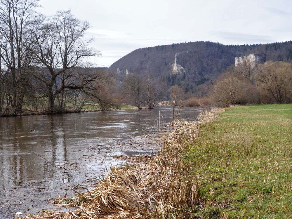 Donau bei Fridingen