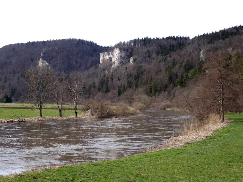 Donau bei Fridingen