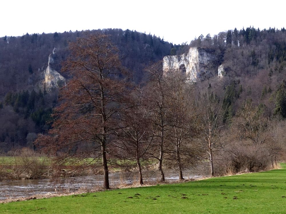 Donau bei Fridingen