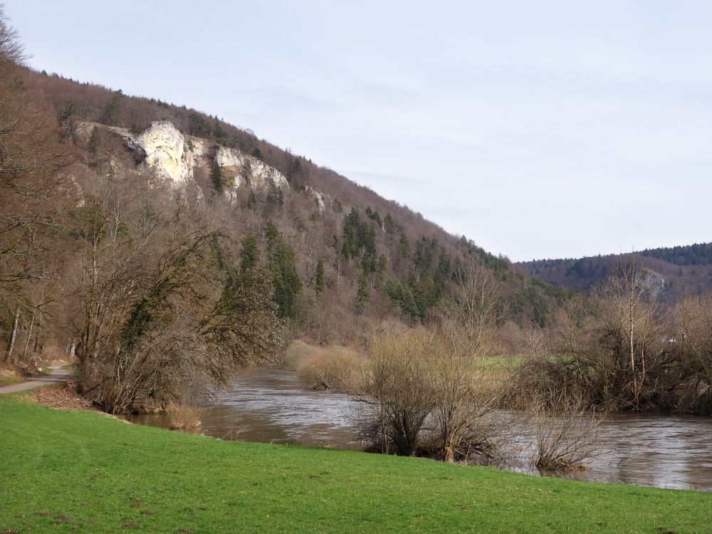 Donau und Breiter Fels