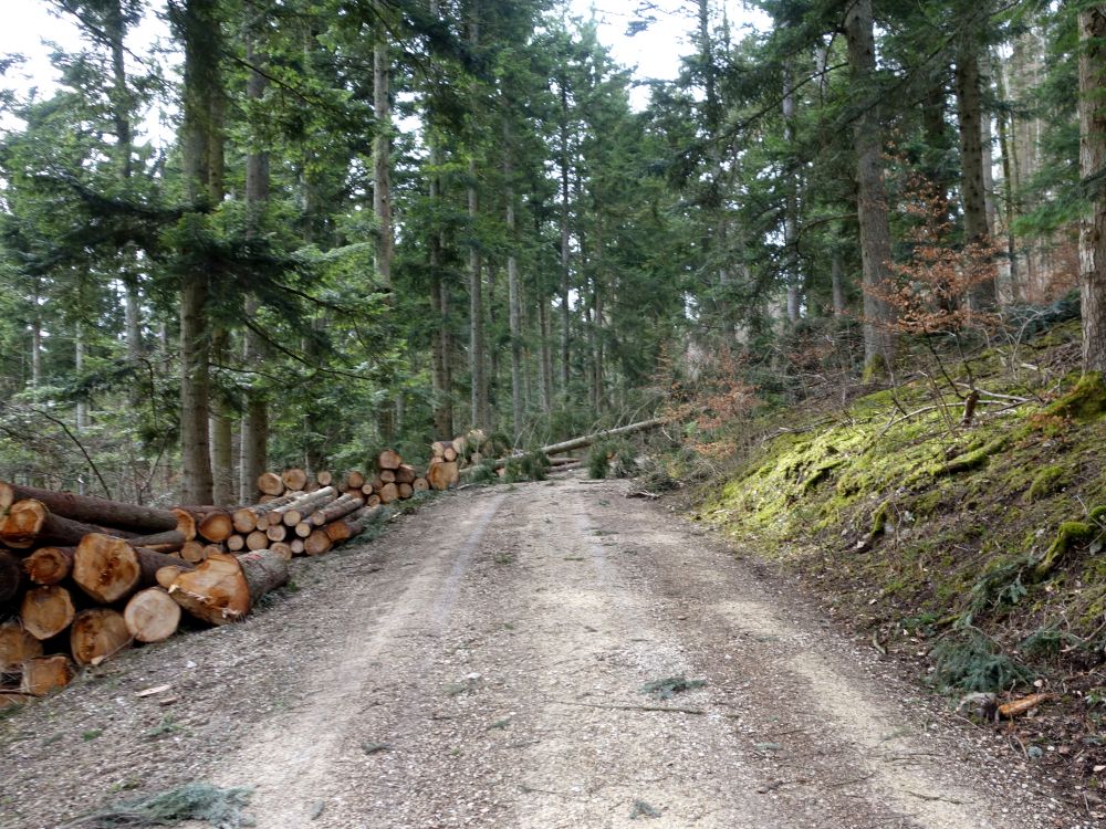 Blockade Gelber Fels-Weg