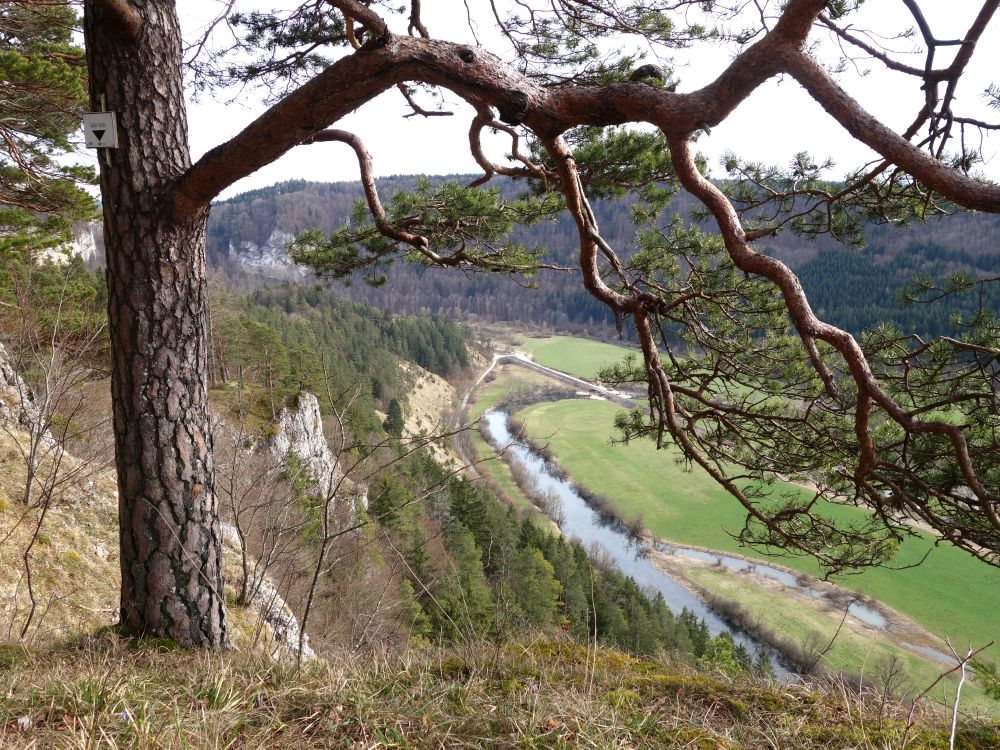 Blick auf den Wulfbach vom Lochfelsen aus