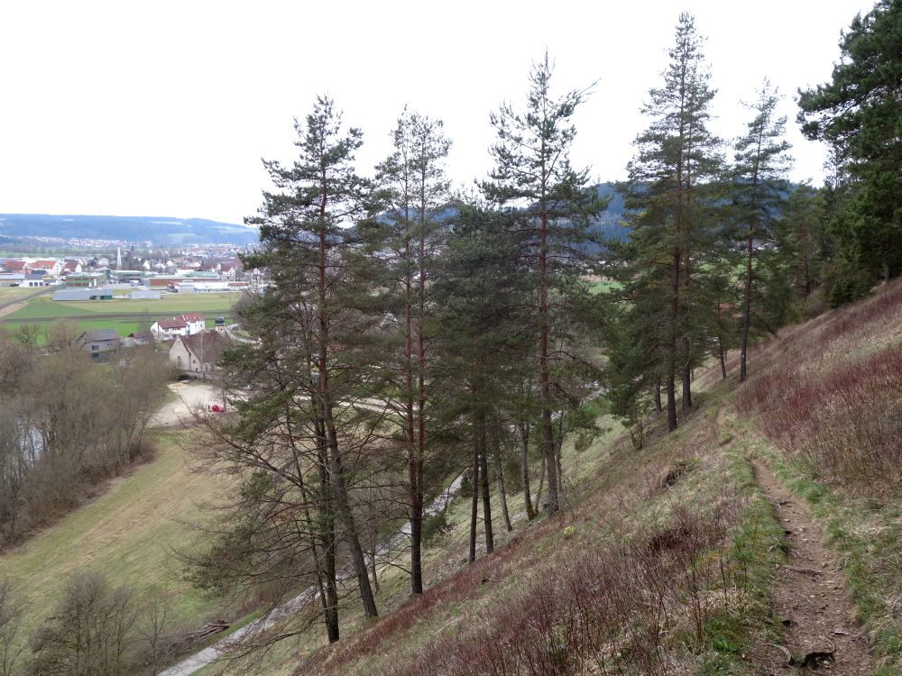 Bergpfad unter der Mühlheimer Höhle