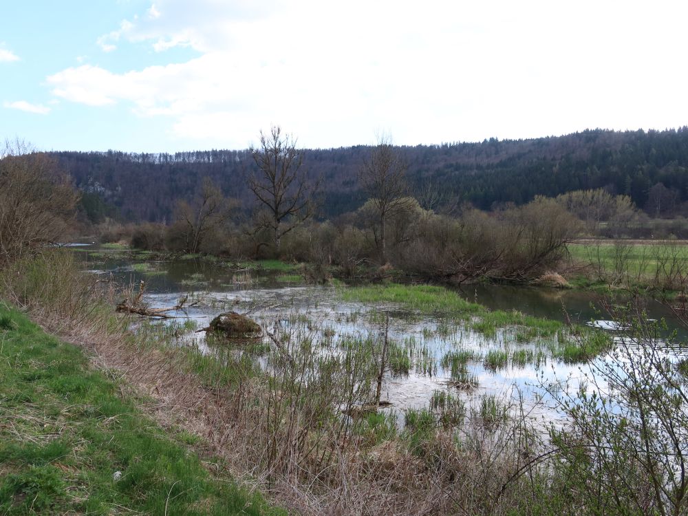 Wulfbachauen