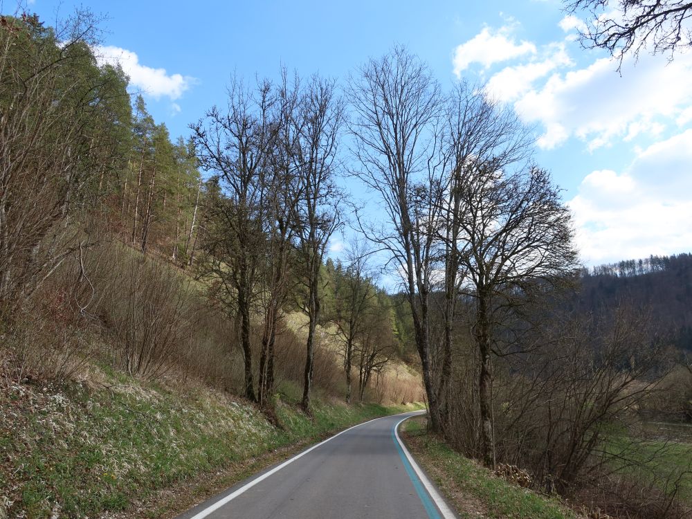 Donauradweg bei Mühlheim