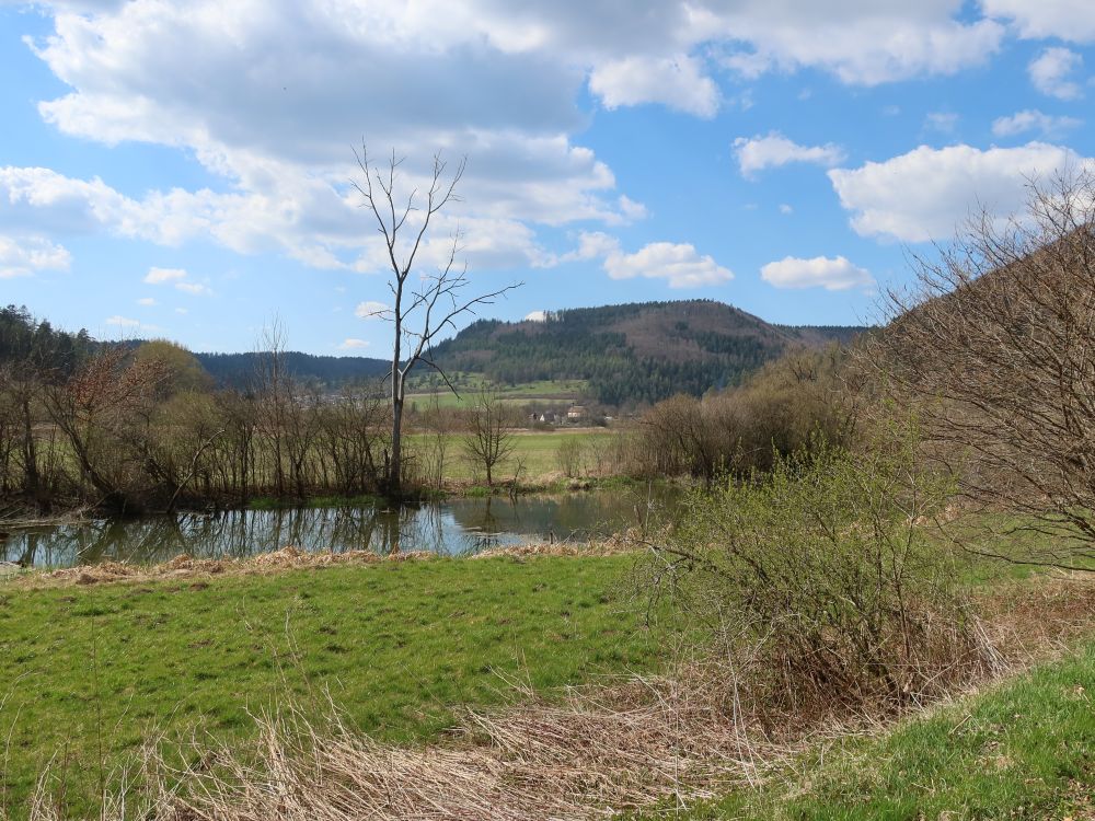 Wulfbachauen