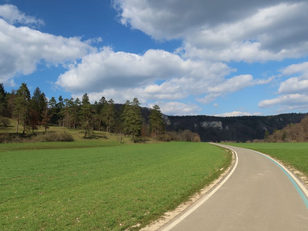 Donauradweg