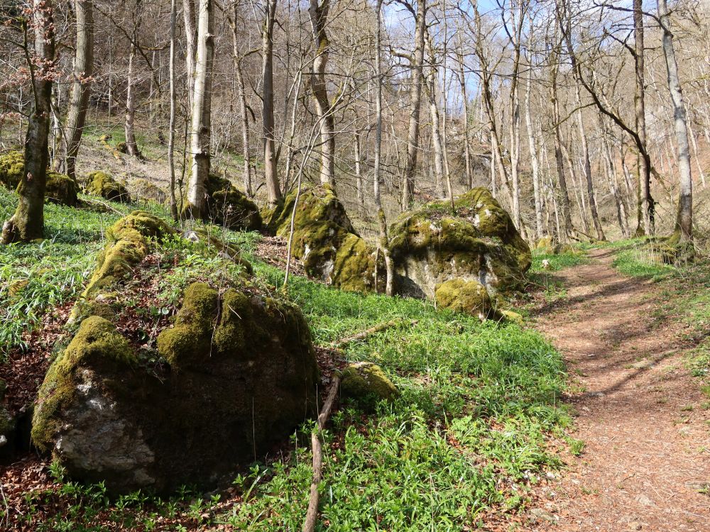bemooste Felsen