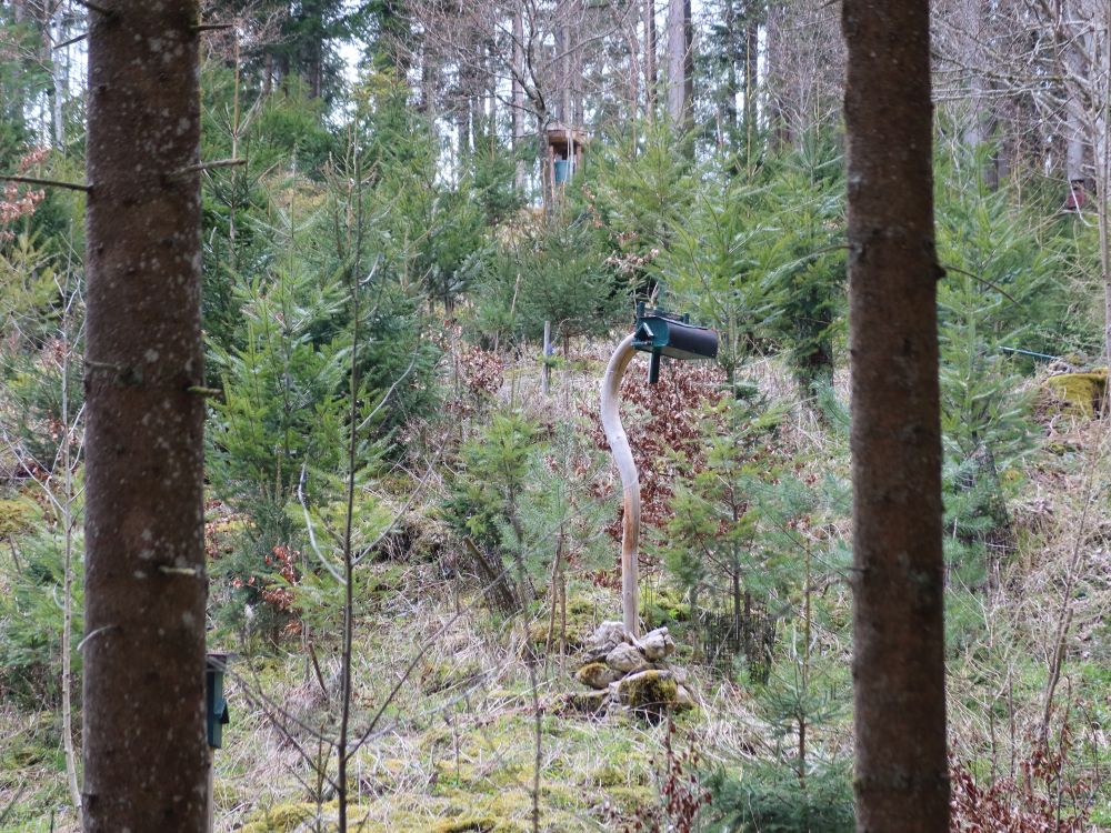 Vogelhäuschen