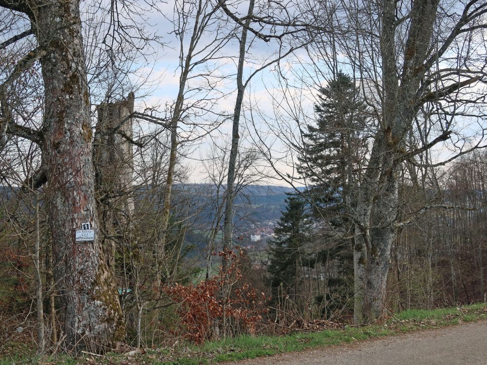Blick Richtung Mühlheim