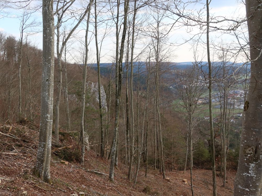 Blick Richtung Mühlheim