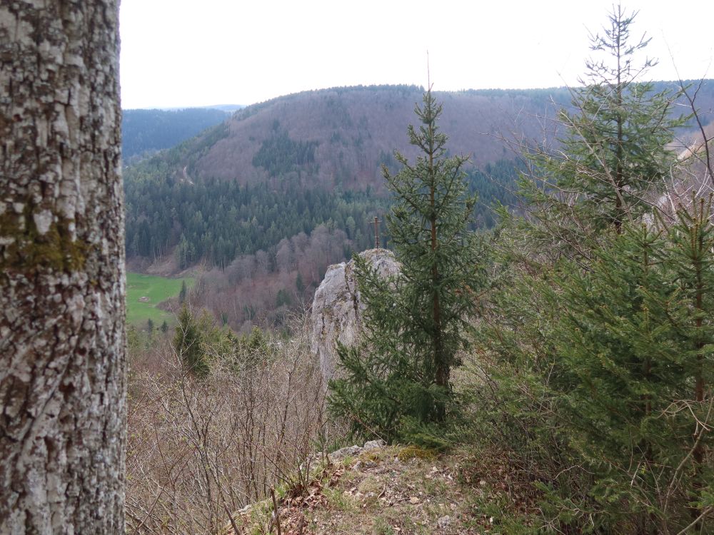 Felsnase