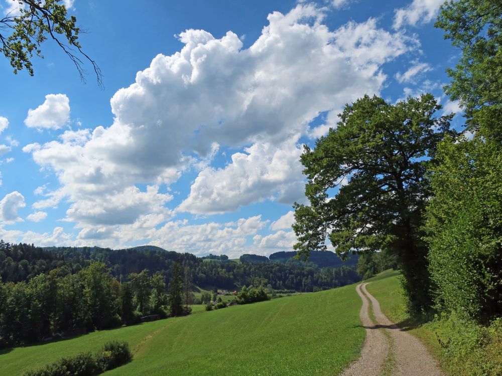 Wirtschaftsweg