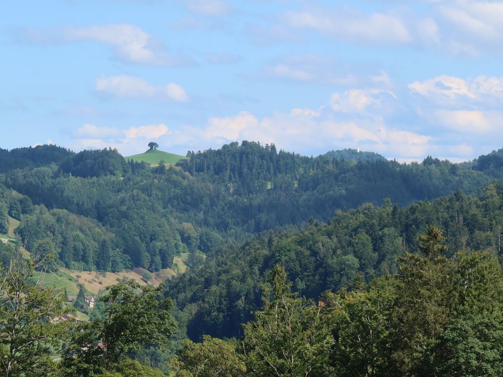 Hügel mit Baum und St. Iddaburg