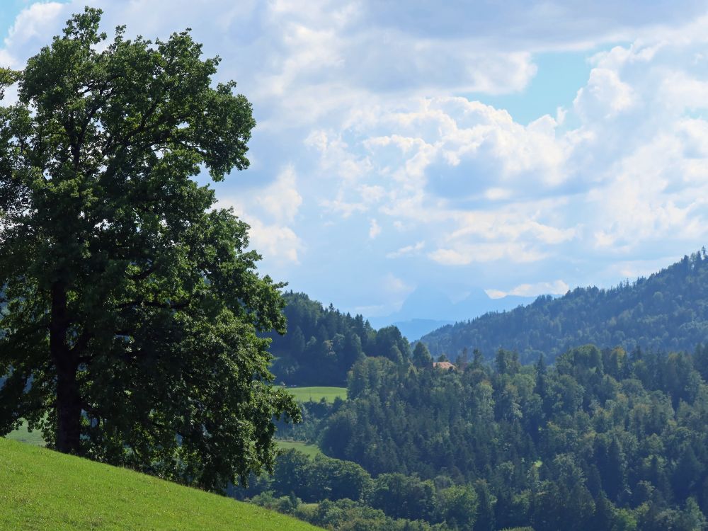 Bergspitzen im Dunst