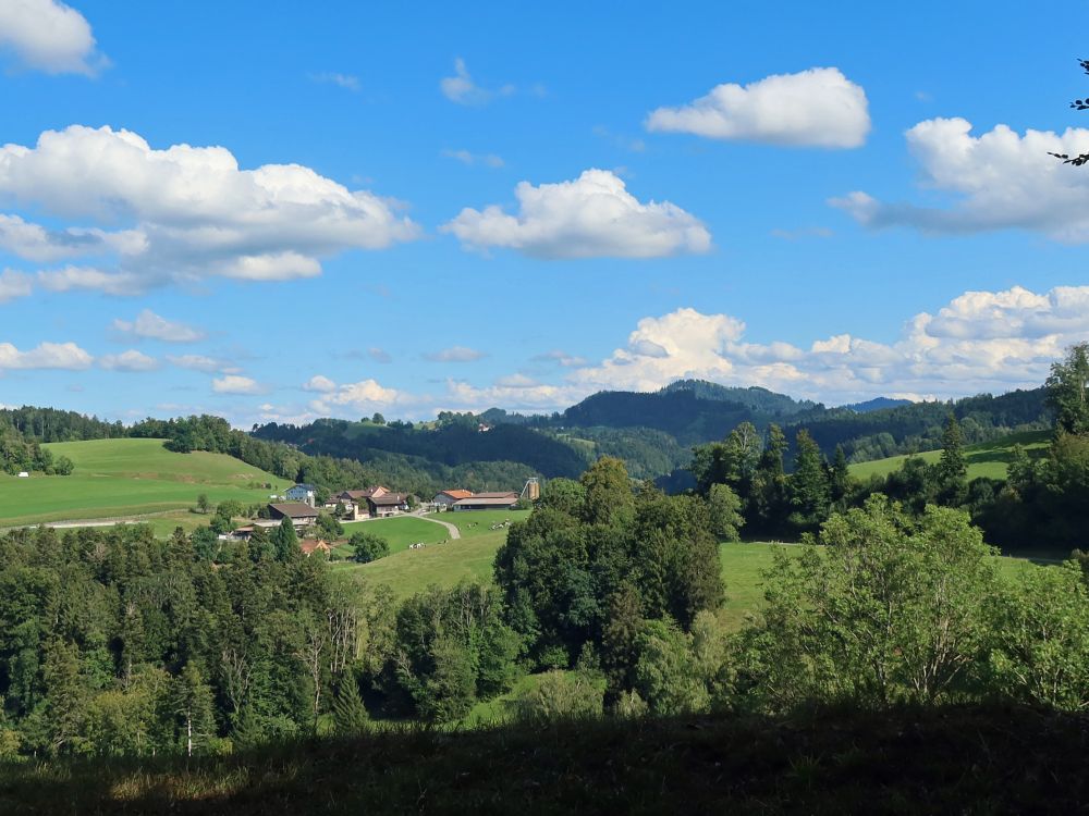 Manzenhub und Hörnli