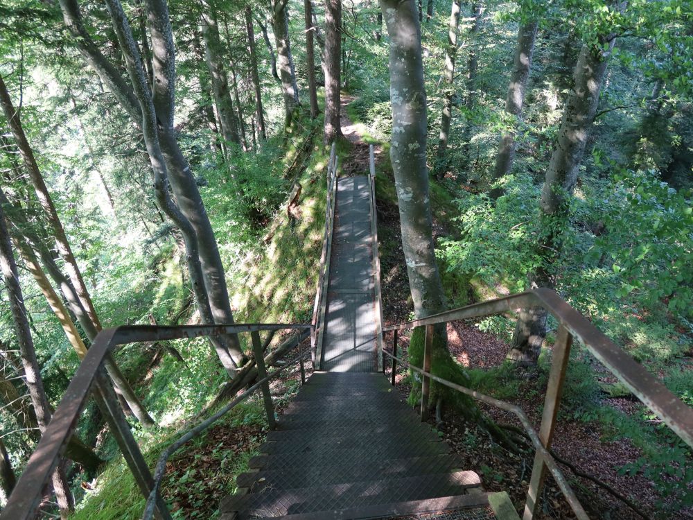 Treppe und Steg am Hochlandenberg