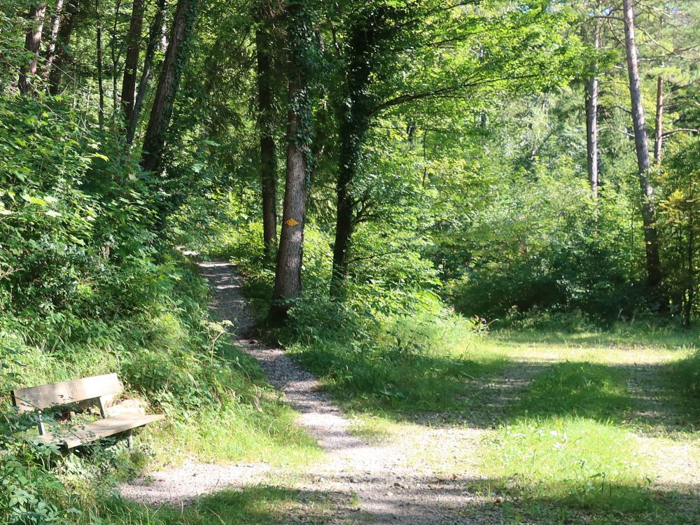 Sitzbank am Wanderweg