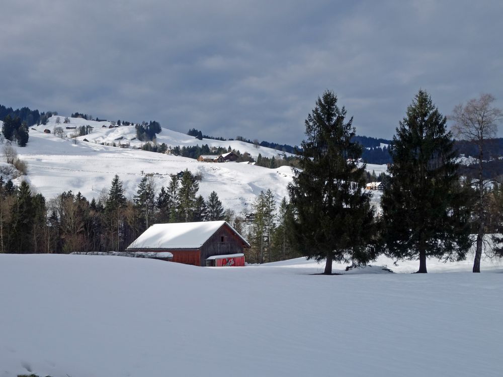 Blick Richtung Nestenberg