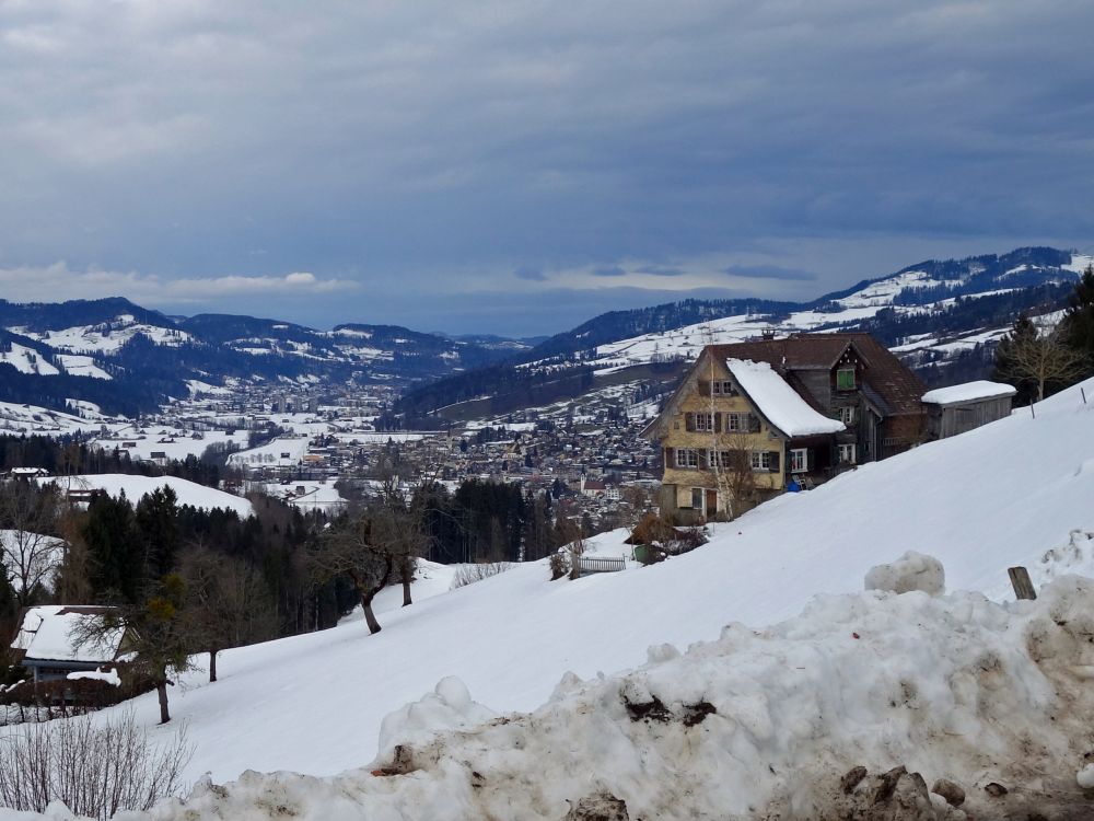 Blick Richtung Ebnat-Kappel