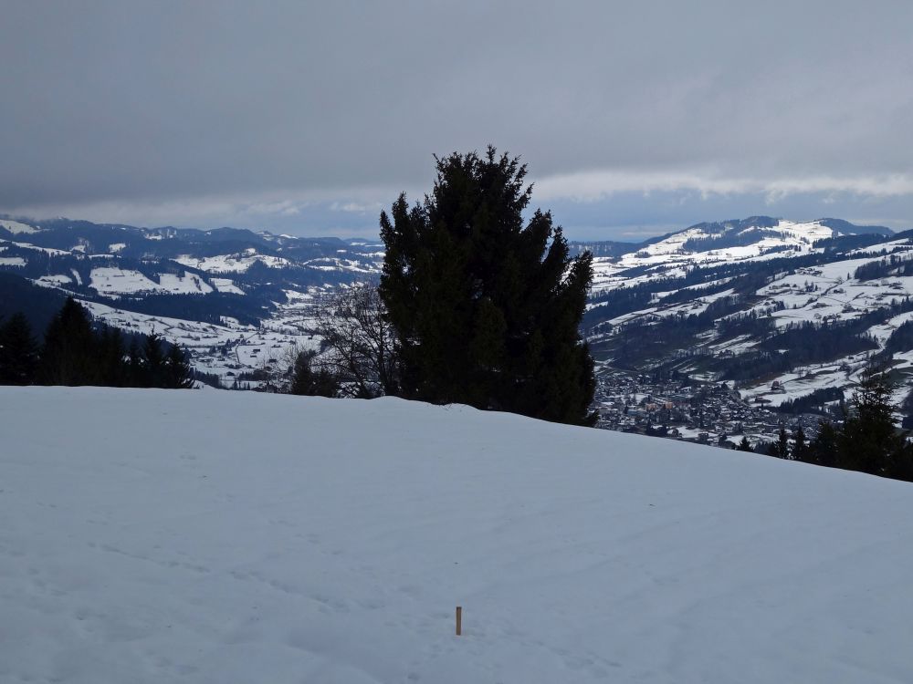 Blick Richtung Ebnat-Kappel