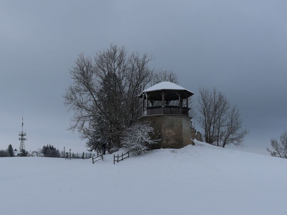 Aussichtsturm und Funkturm