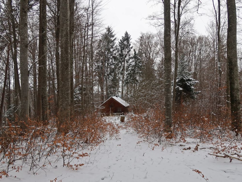 Waldhütte