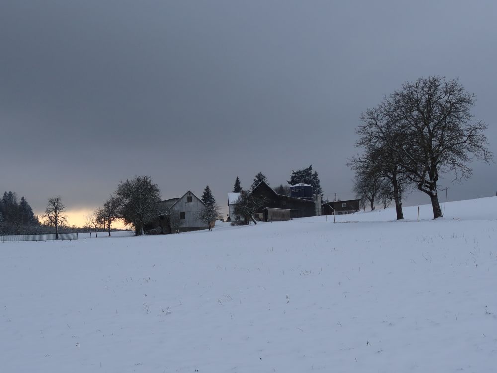 Bauernhof auf dem Kreut