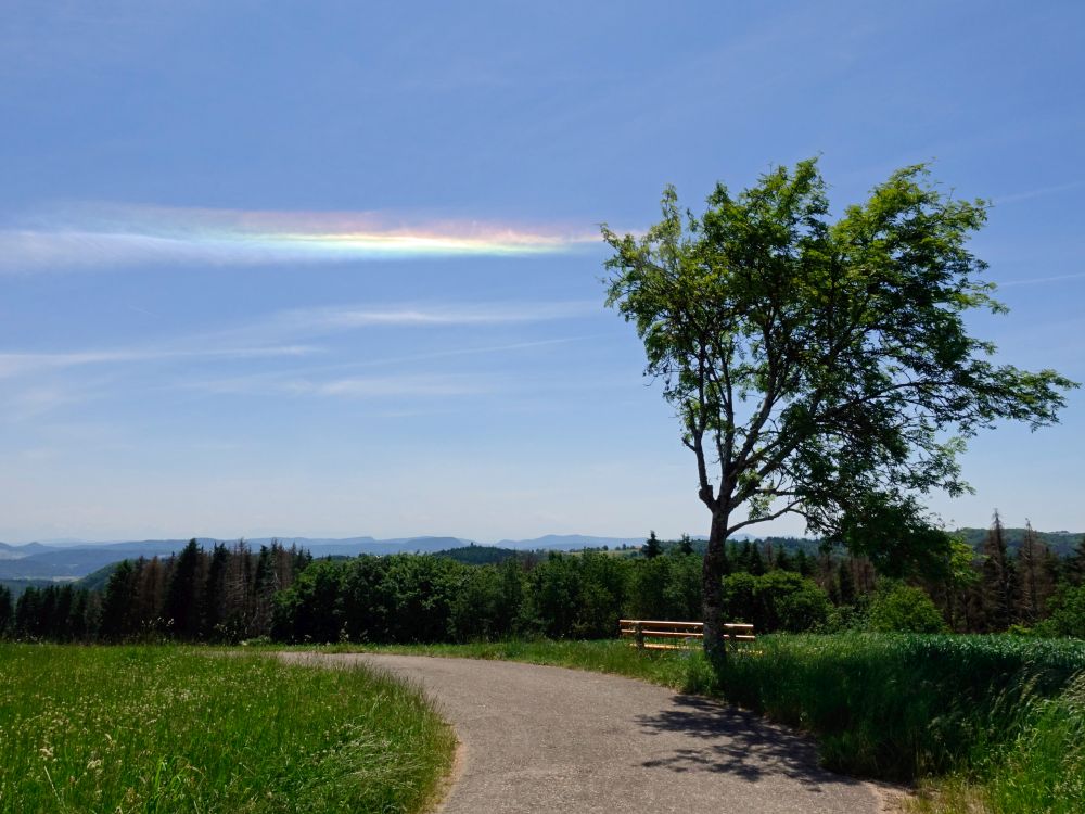 Aussichtstelle und Regenbogenfarben