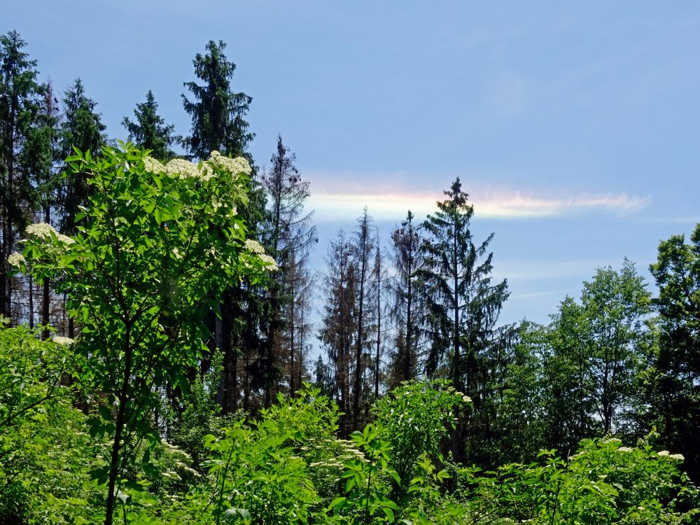 Regenbogenfarben