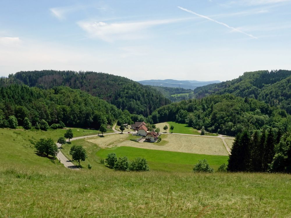 Gasthaus Zm Löwen