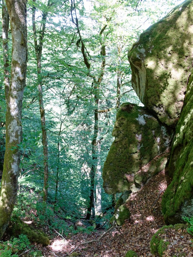 Kaibenfelsen