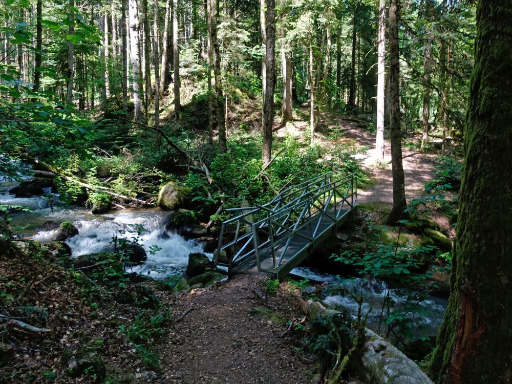 Steg über den Höllbach