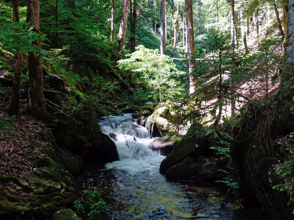 Kleiner Höllbachwasserfall