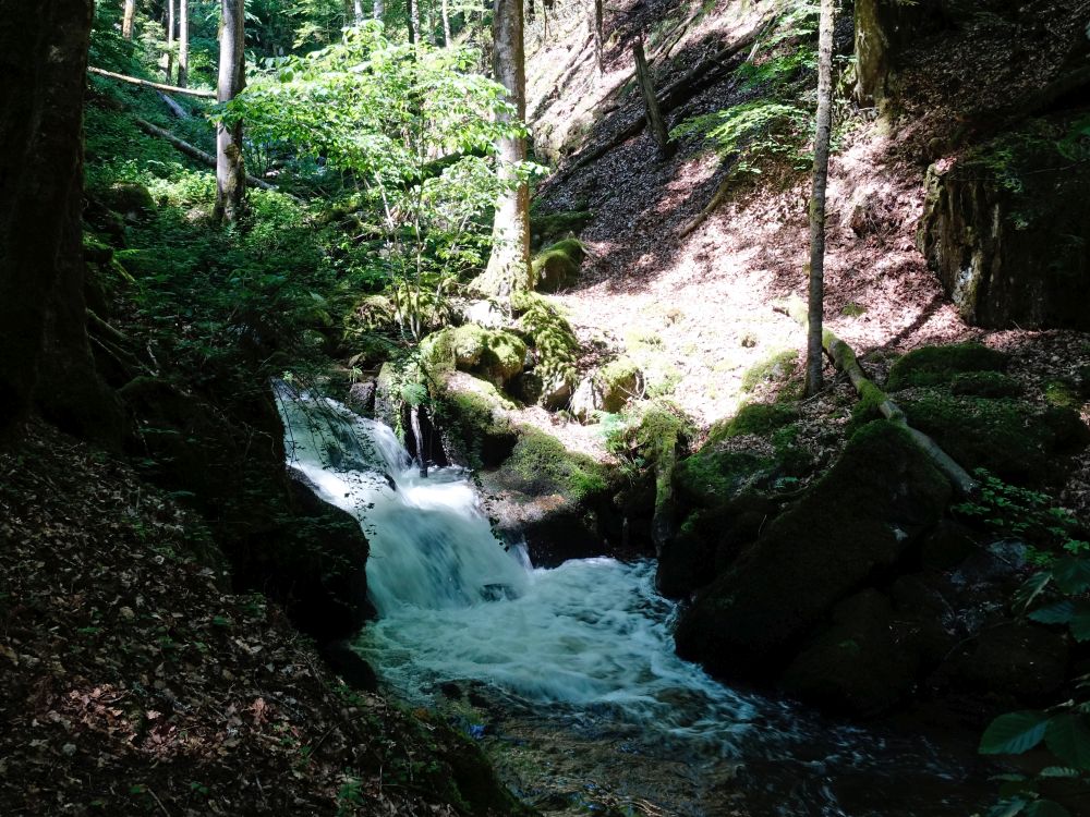 Kleiner Höllbachwasserfall
