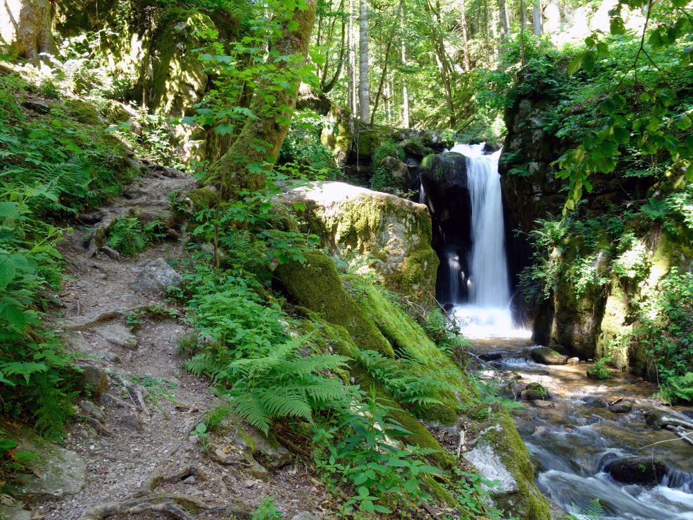 Grosser Höllbachwasserfall